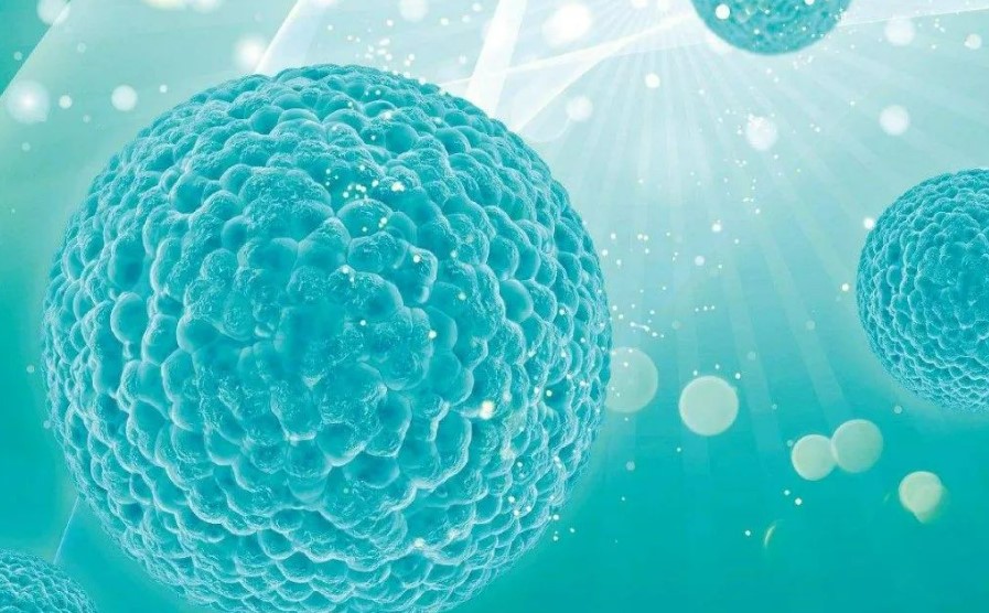 高分综述！浙大研究发现辐射诱导的肿瘤免疫微环境及联合治疗的潜在靶点