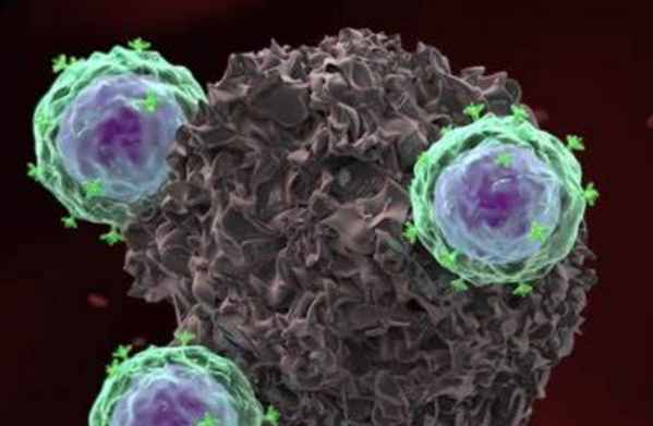 【Cancer Cell】宋保亮、许琛琦团队全面绘制肿瘤胆固醇代谢图谱，提升CAR-T治疗实体瘤效果