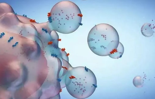 【Cell子刊】华盛顿大学研究发现癌症转移代谢重编程新机制