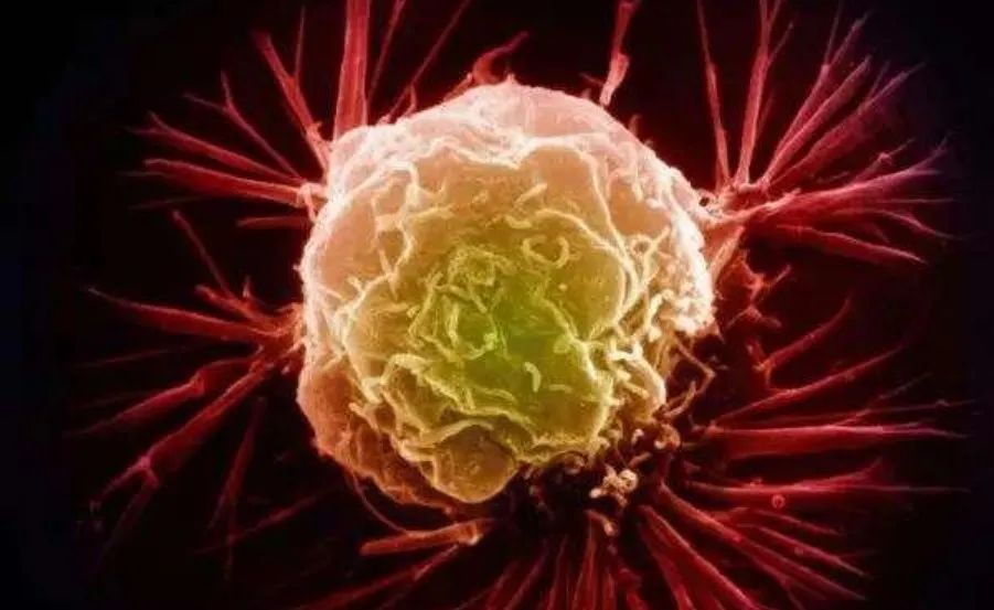 【Nature子刊】浙大研究团队发表癌症治疗最新策略