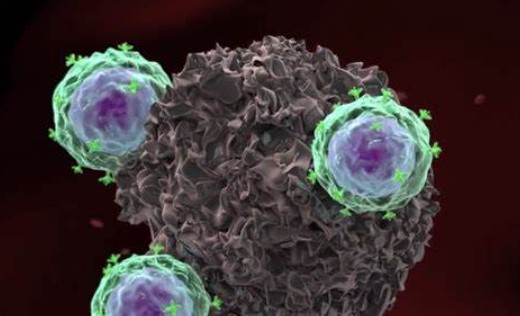 神药“二甲双胍”抗癌新机制来了！最新研究：瘤内T细胞缺氧，二甲双胍能救场