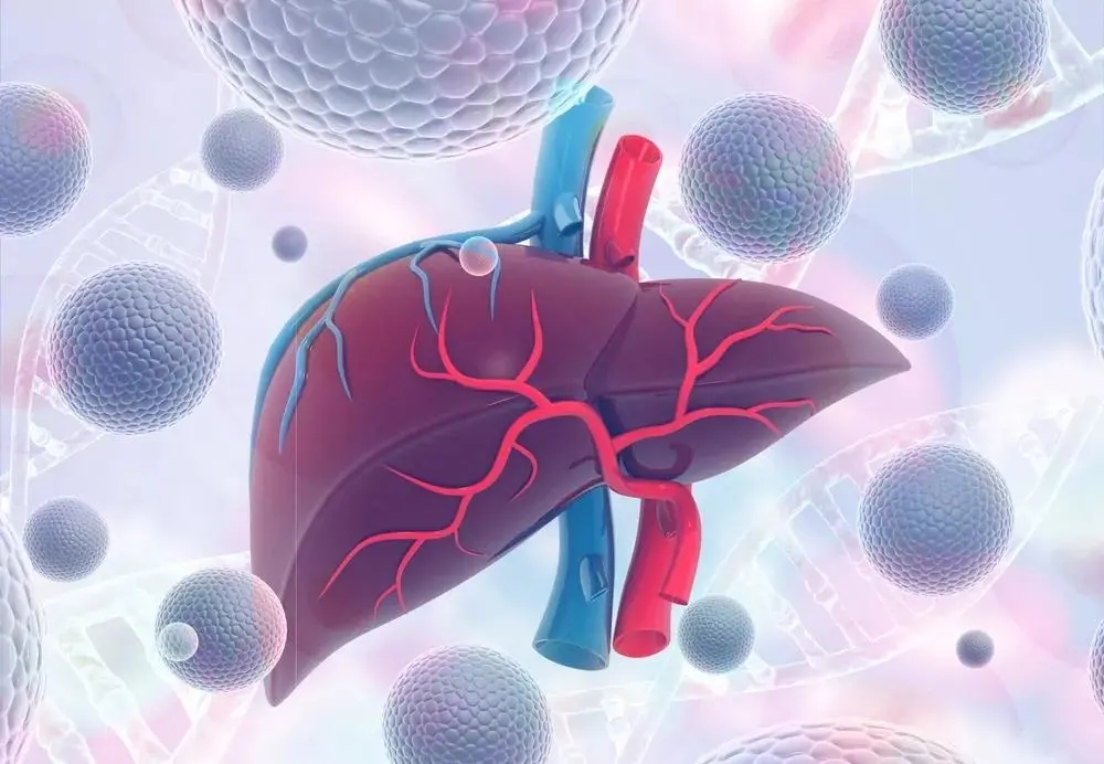 【STTT】最新！中山大学发现肝细胞癌进展新机制 揭示免疫治疗疗效潜在预测指标