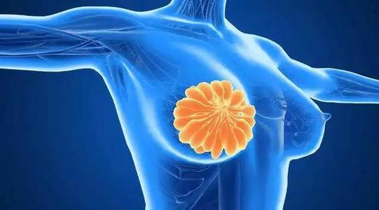 医校联动！川大华西医院联合北京协和医学院揭示乳腺癌临床预后预测新机制