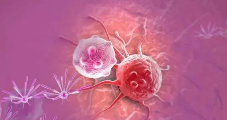 新突破！国外研究团队发现抗肿瘤和抗癌药物新机制