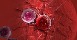 【Nature Chemical Biology】清华大学发现相关癌症的共同机制及治疗潜在途径