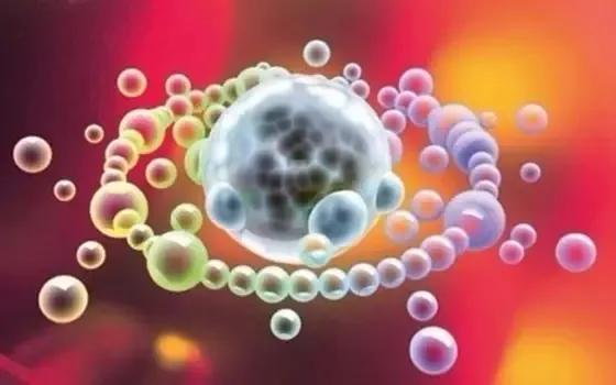 【Nature子刊】脑癌治疗新靶点，可广泛用于治疗其他癌症