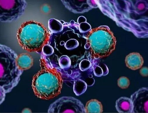 最新！北京协和医学院联合北京大学研究发现通过驱动线粒体代谢重编程来增强结肠癌肝转移的机制