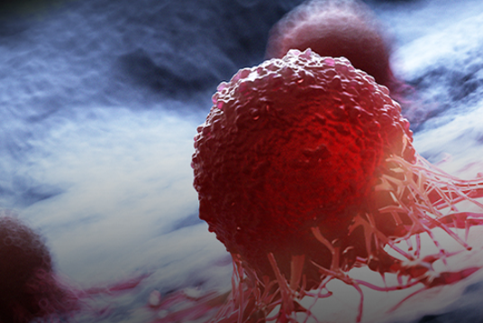 清华大学/北京大学/武汉大学研究揭示肿瘤抵抗新机制，为提高抗肿瘤免疫力提供了新的治疗机会！
