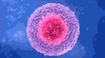 重磅！美国顶级癌症机构：开发出能够杀死所有实体瘤的靶向药物