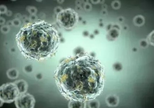 最新！浙江大学联合温州医科大学等研究发现促进肿瘤免疫逃逸新机制