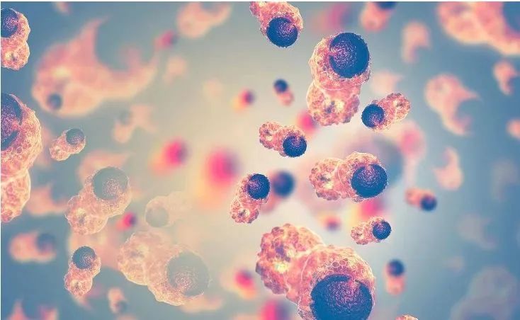 【Nature子刊】唐本忠院士团队最新发文：促进抗肿瘤免疫治疗的新策略