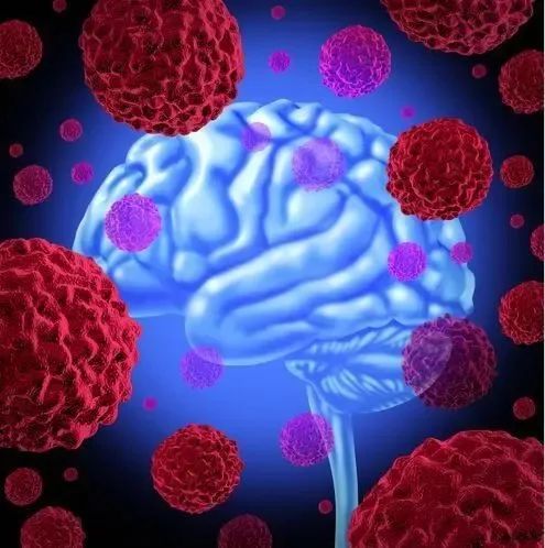 【Autophagy】陆军军医大学卞修武院士团队合作发现胶质母细胞瘤的潜在治疗新策略