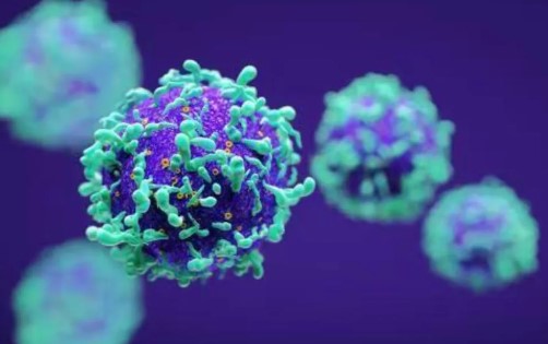以“毒”抗“癌”新进展！中山大学徐瑞华等团队揭示免疫化疗治疗人EB病毒相关胃癌的动态肿瘤免疫环境