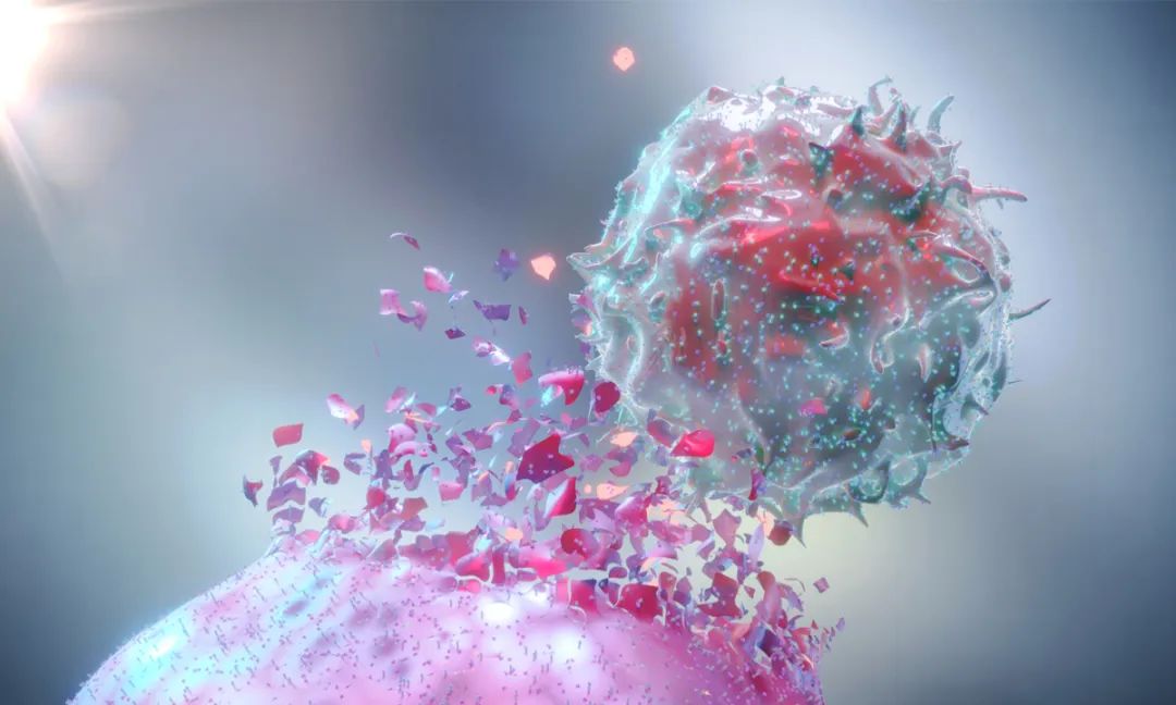 山大齐鲁发文揭示一种改善基于NK细胞的抗肿瘤免疫疗法