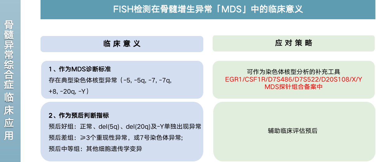 FISH杂交技术在骨髓异常综合征诊疗中的应用