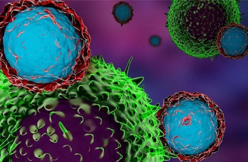 【Cell子刊】打破限制！北京大学研究发现促进肿瘤免疫耐药性的新机制