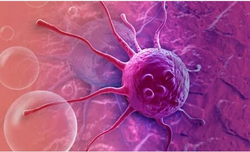 【Adv. Sci.】北京大学最新发文：揭示肿瘤细胞生长新机制