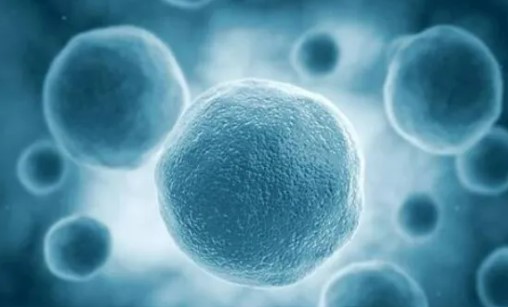 再取进展！华中科技大学学者最新发文：揭示肿瘤生物标志物和治疗靶点