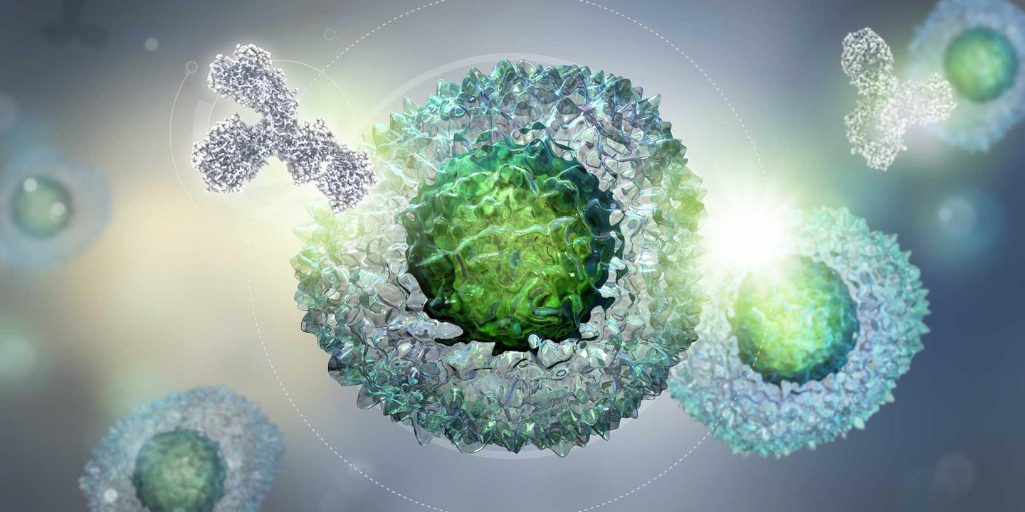 促进抗肿瘤免疫！上海中医药大学发文揭示癌症免疫治疗最新策略