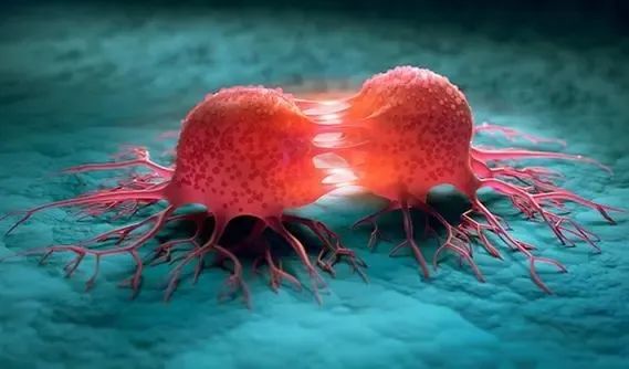 首次证实！天津医科大学发现乳腺癌治疗新靶点