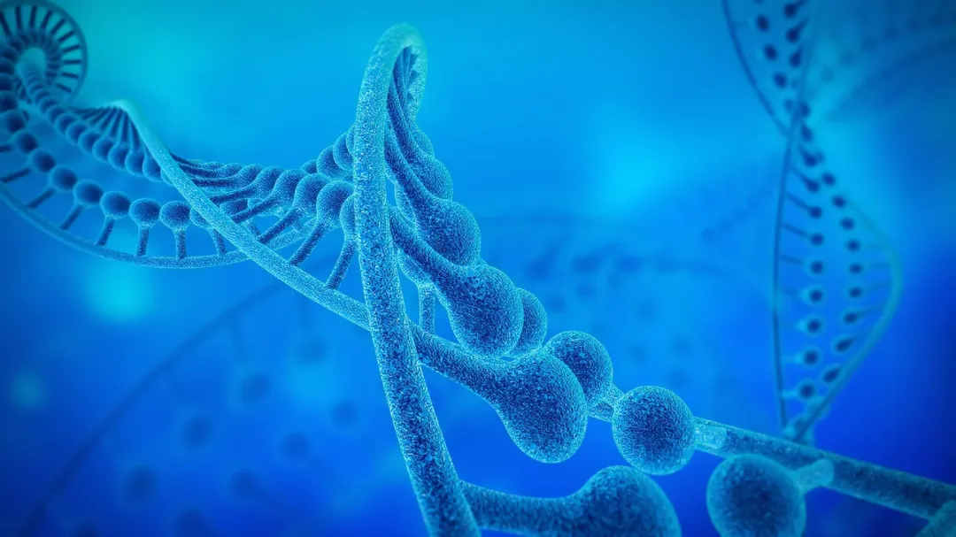 环状RNA新发现！复旦大学发文揭示癌症转移最新分子机制和预防靶点