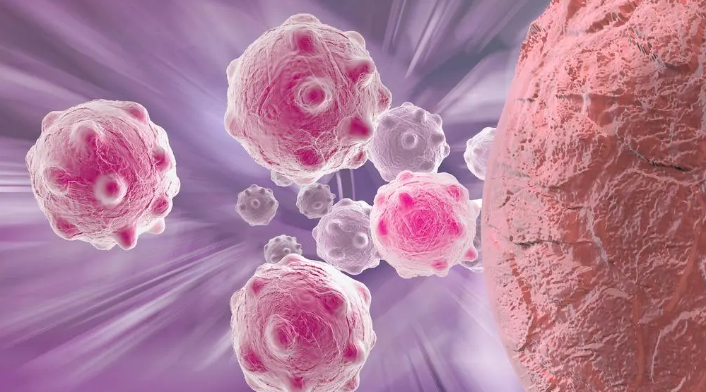 新型癌症治疗药物！香港理工大学揭示肝细胞癌潜在治疗方法