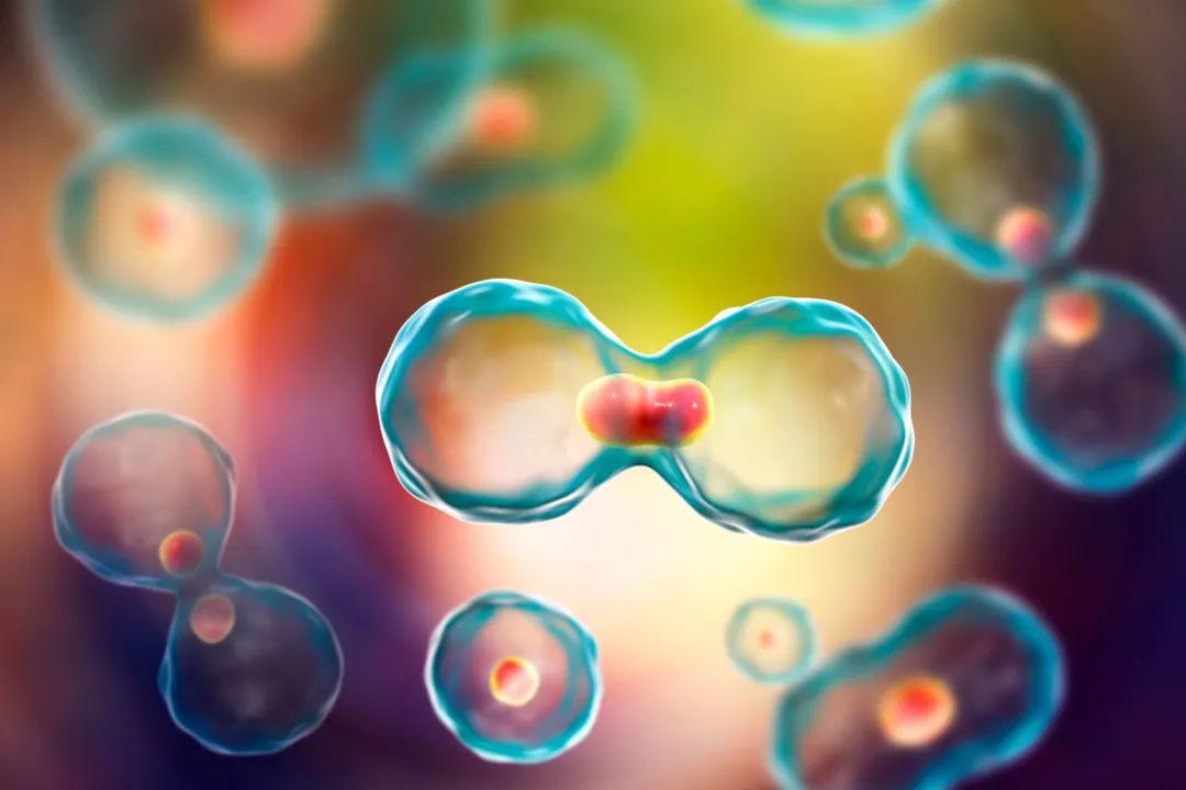 【Adv. Sci.】可有效消融肿瘤！中国科学技术大学揭示癌症免疫治疗最新策略