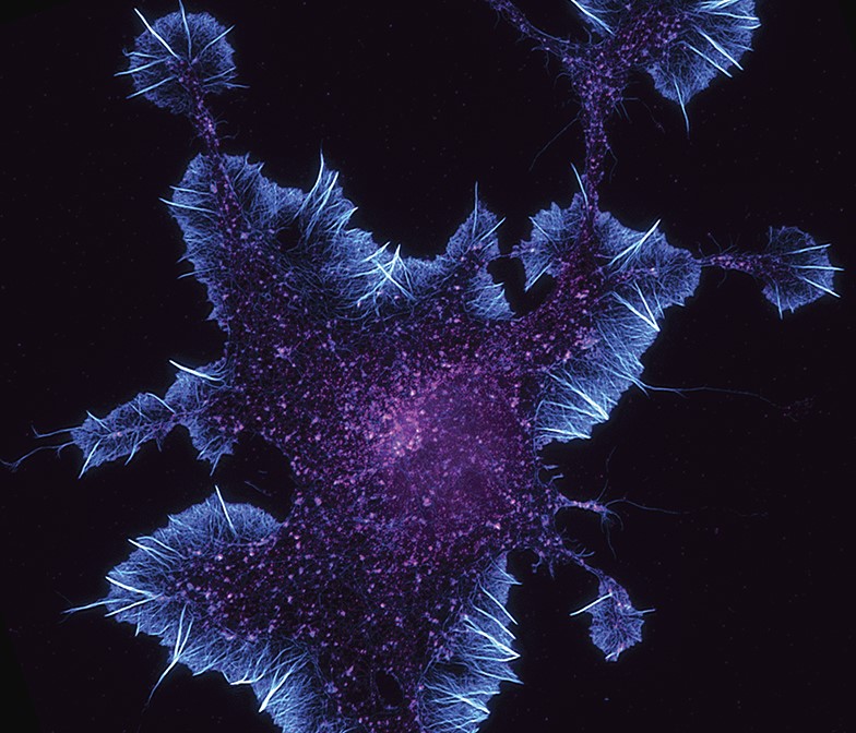 【Science / PNAS】二连发！施一公团队最新研究进展 