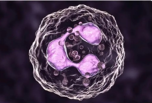 【Adv. Sci.】复旦大学联合首都医科大学研究发现：肿瘤预后治疗新策略