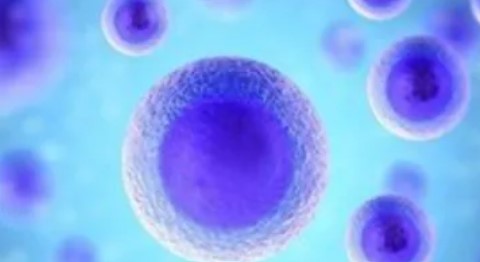 调节肿瘤细胞，释放免疫抑制！香港大学联合中山大学最新研究发布