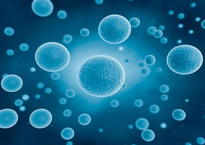 再添一角！中山大学张宏波等团队Nature子刊最新发文
