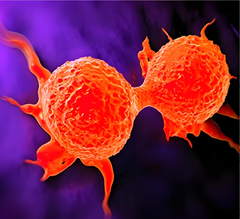 迎难而上！中南大学再发文：揭示“最毒乳腺癌”抗癌新机制