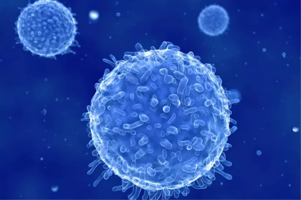 【Adv. Sci.】上海交通大学研究团队发现结直肠癌诊断标志物和潜在治疗靶点