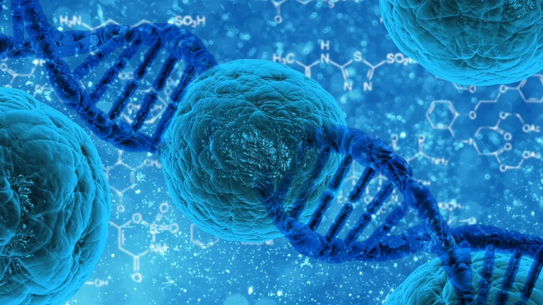 【Nature子刊】南方医科大学研究团队揭示癌症诊断治疗潜在靶点
