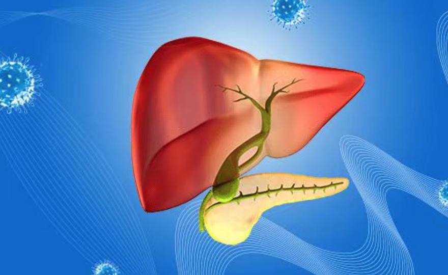 显著抑制肿瘤生长和转移！南京医科大学：揭示胰腺癌治疗新方法