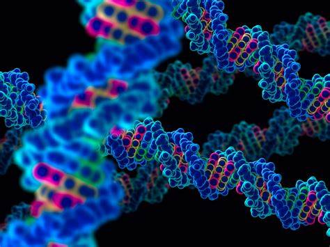 【Nature子刊】创新突破！上海交通大学俞章盛团队开发出快速、准确的空间可变基因鉴定方法