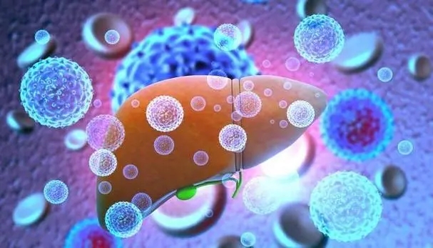 【Adv. Sci.】南方医科大学发文：发现肝癌治疗小分子靶点