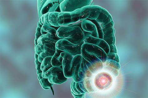 【Cell子刊】中山大学韩安家团队：发现结直肠癌治疗的全新生物标志物