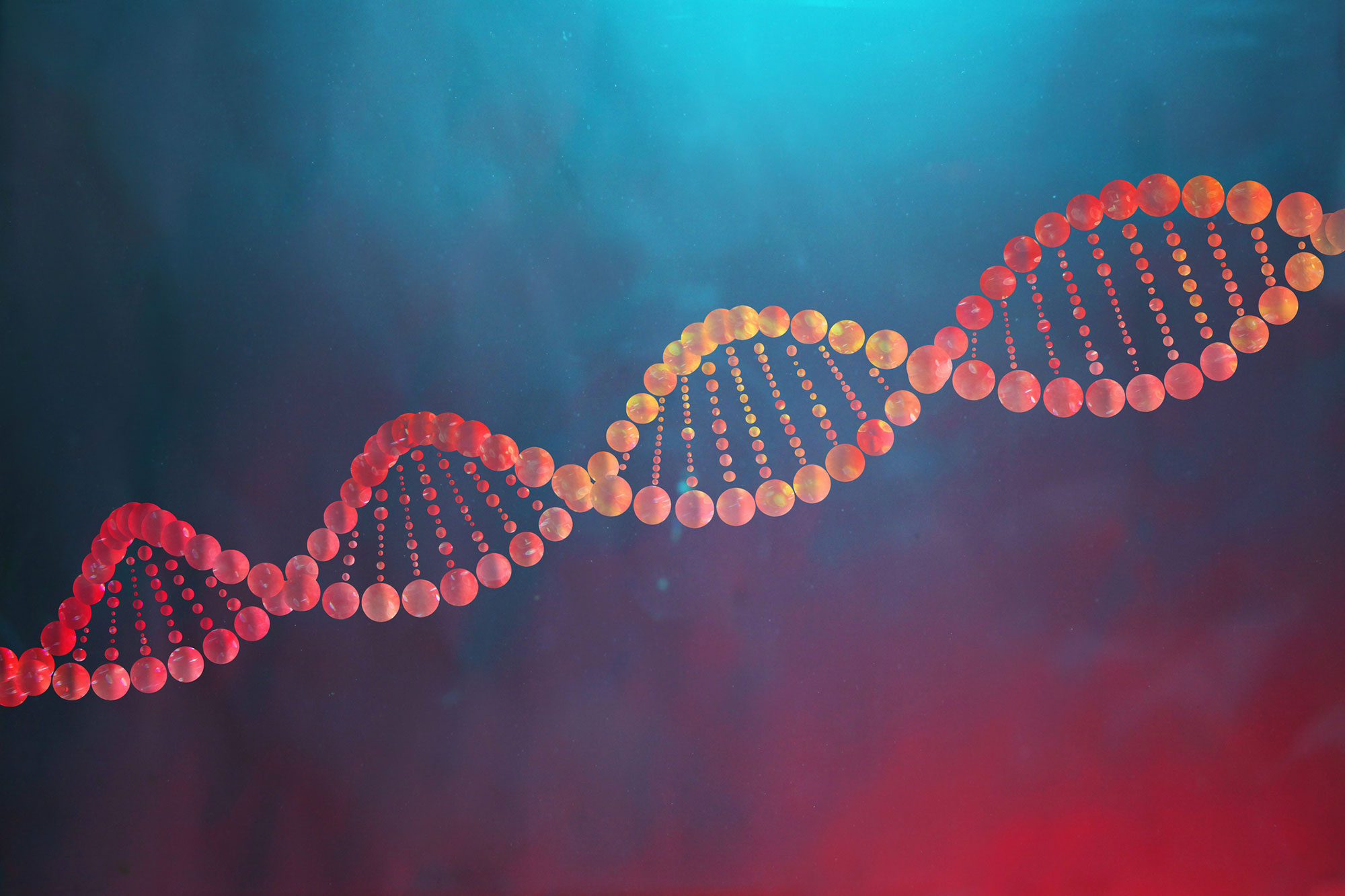 【Cell子刊】人类基因组的秘密：8,222个基因组中的VNTR基序多态性全解析