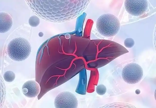 新型生物标志物！南方医科大学付顺军教授团队：有前景的肝癌治疗靶点