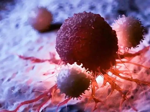 潜在预测性生物标志物！中山大学发文：发现癌症治疗新方案