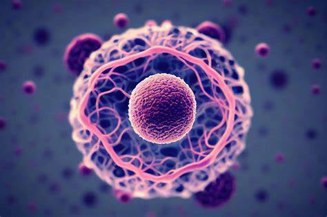 【Cell子刊】战胜脑膜转移：中南大学张永昌团队揭示鞘内注射培美曲塞在EGFR突变肺癌患者中的显著疗效
