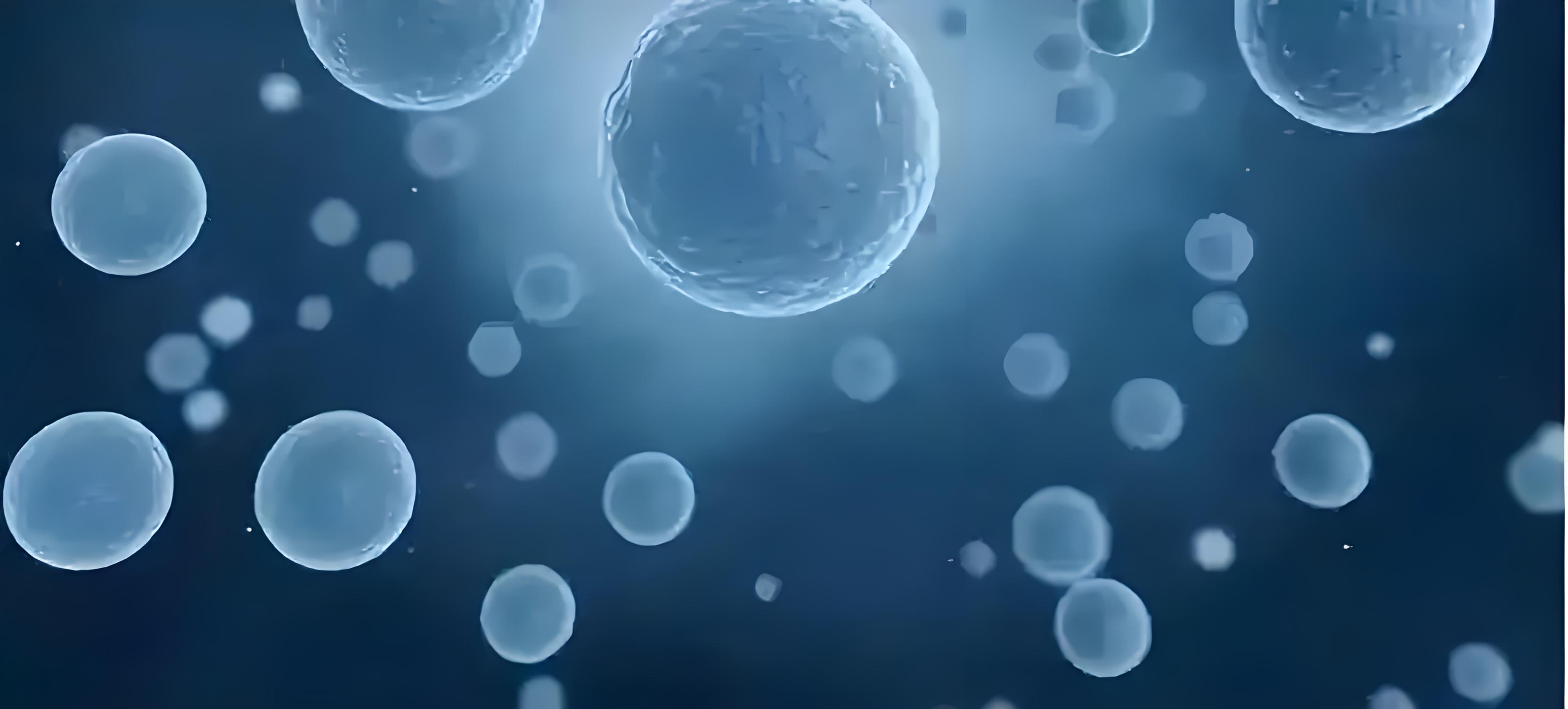 生物学新见解！国外研究团队：预测免疫相关不良事件的潜在外周免疫生物标志物