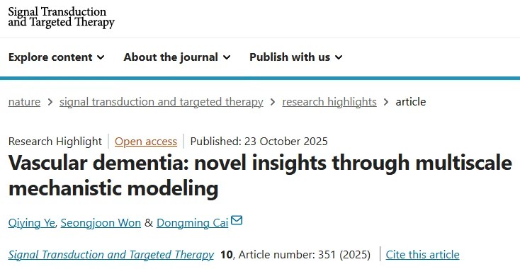 血管性痴呆终于有新靶点了!华人科学家蔡东明团队多尺度机制建模,解析白质损伤治疗新路径