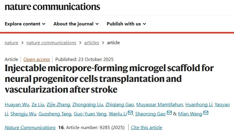 突破中风干细胞治疗瓶颈!王冕/高绍荣/李婉露团队开发新型可注射微孔微凝胶支架,解决神经细胞存活与血管再生双重问题