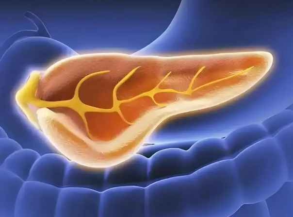 诱导铁死亡!南京大学医学院附属鼓楼医院/南京大学合作发文:克服胰腺癌耐药性的治疗新策略