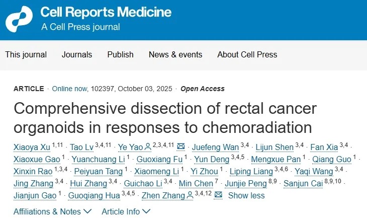 准确率高达93.75%​！复旦大学附属肿瘤医院章真团队等揭示直肠癌类器官精准预测放化疗疗效