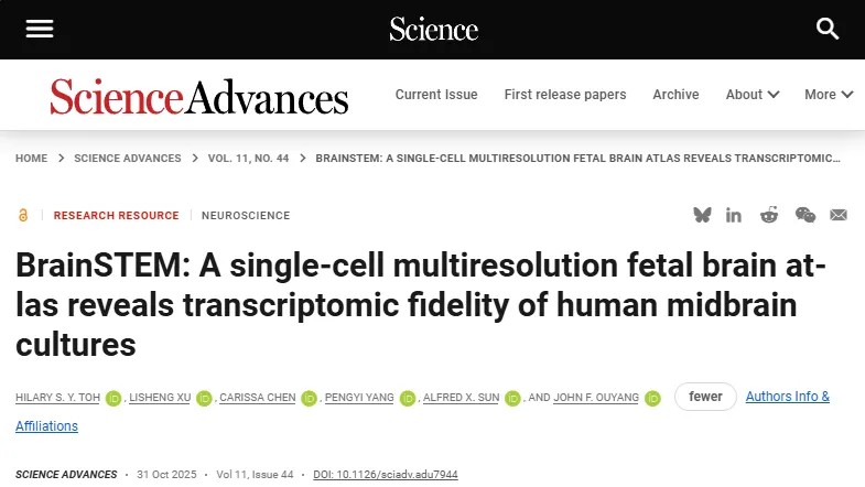 脑科学重大突破！多分辨率胎儿脑图谱发布，精准评估帕金森病模型