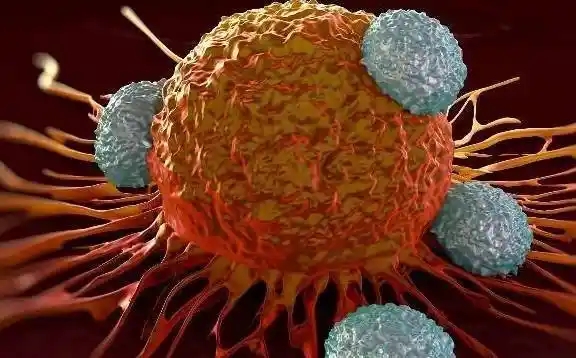 肿瘤细胞重编程！复旦大学附属肿瘤医院等单位合作发文：可减轻肿瘤恶性的胰腺癌治疗策略