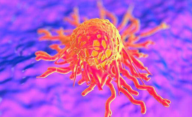 免疫治疗新见解！复旦大学附属妇产科医院：癌症治疗潜在靶点